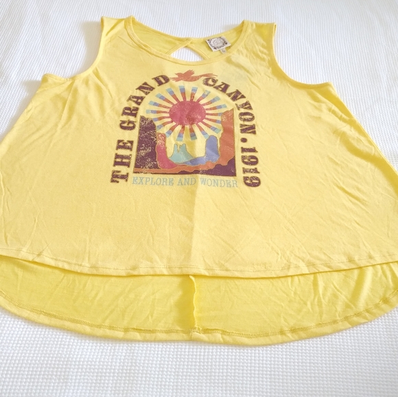 TRU Self "The Grand Canyon 1919" Swing Tank - Picture 11 of 13